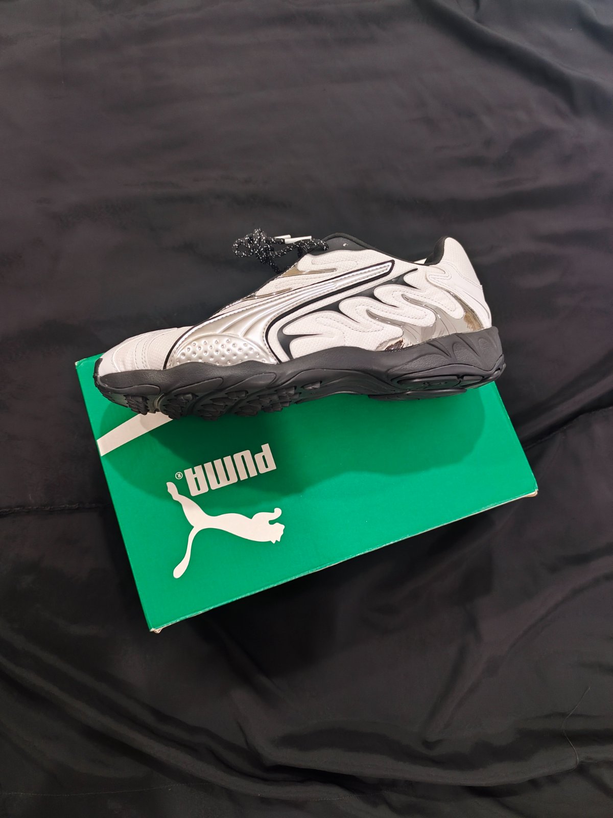 Puma 