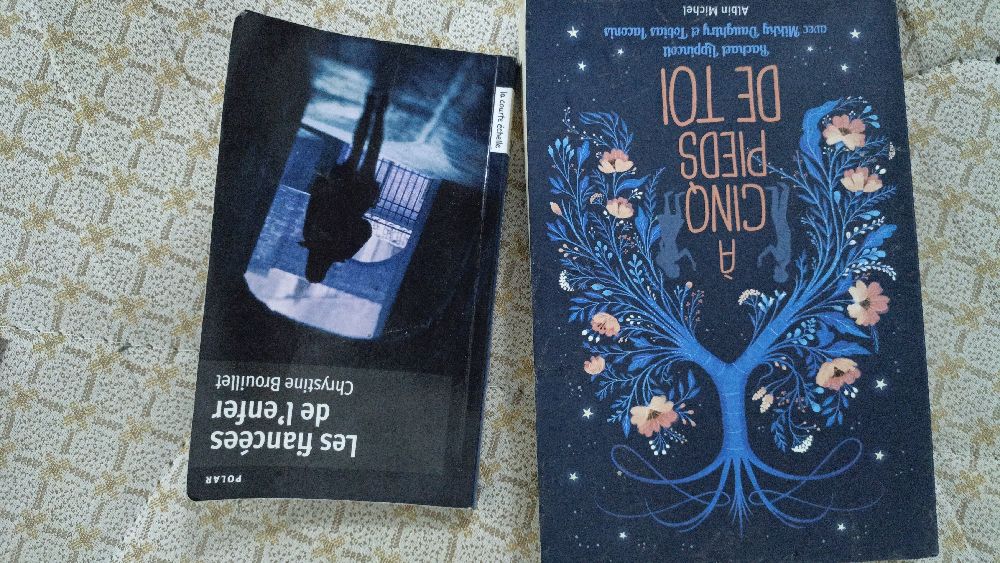 2 livres: à 5 pieds de toi et les fiancées de l'enfer
