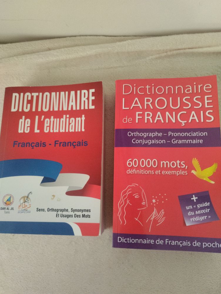 2 dictionnaires neufs✨✨