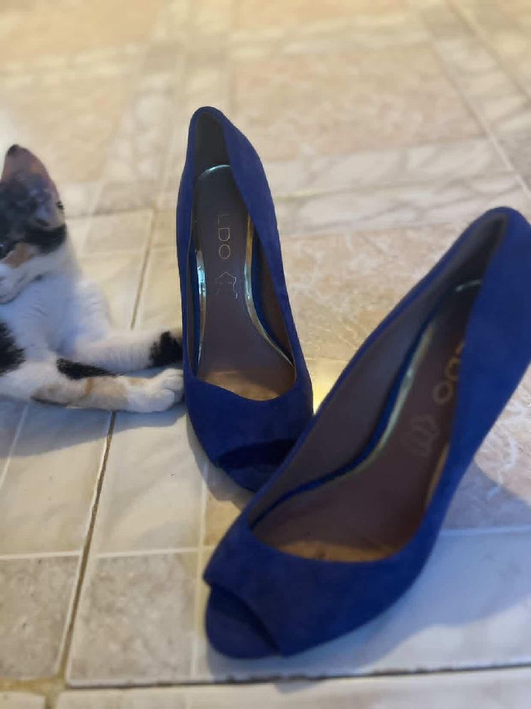 Escarpins en daim bleu Aldo