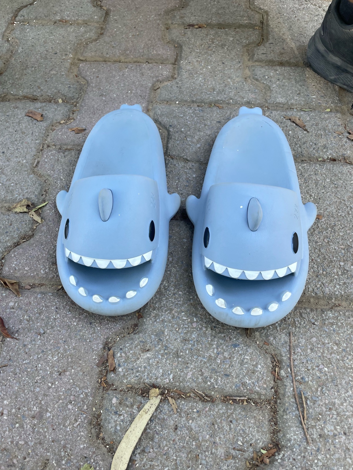 Shark slides