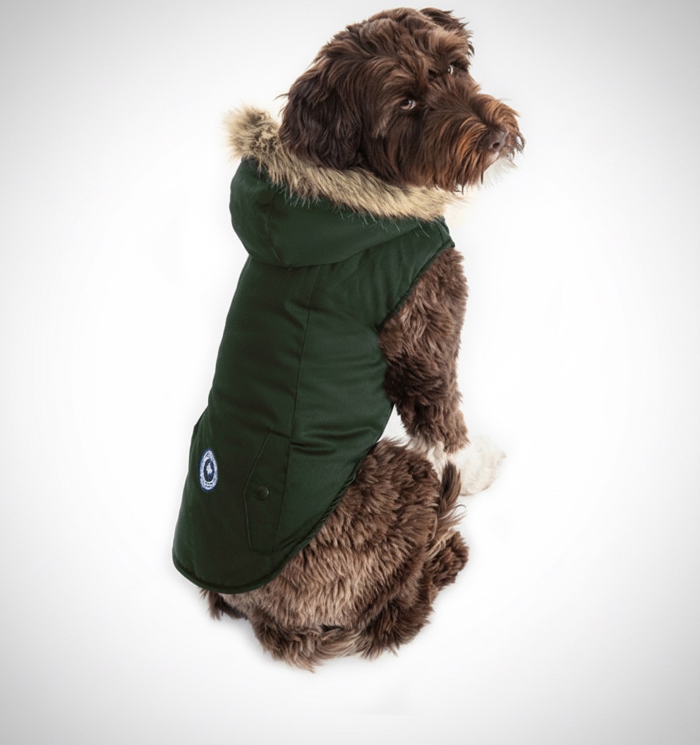 Bombers chien