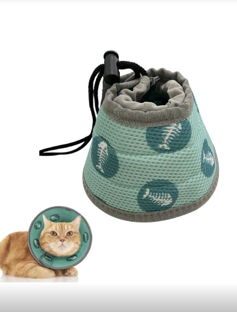 Collerette de protection des chats