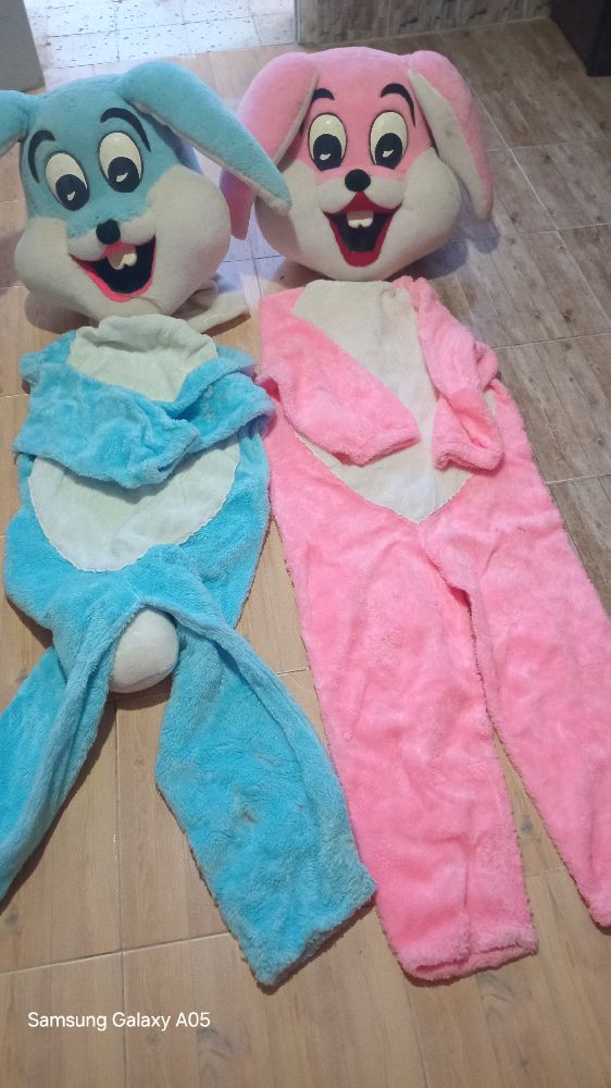 Costumes de mascotte de lapin 