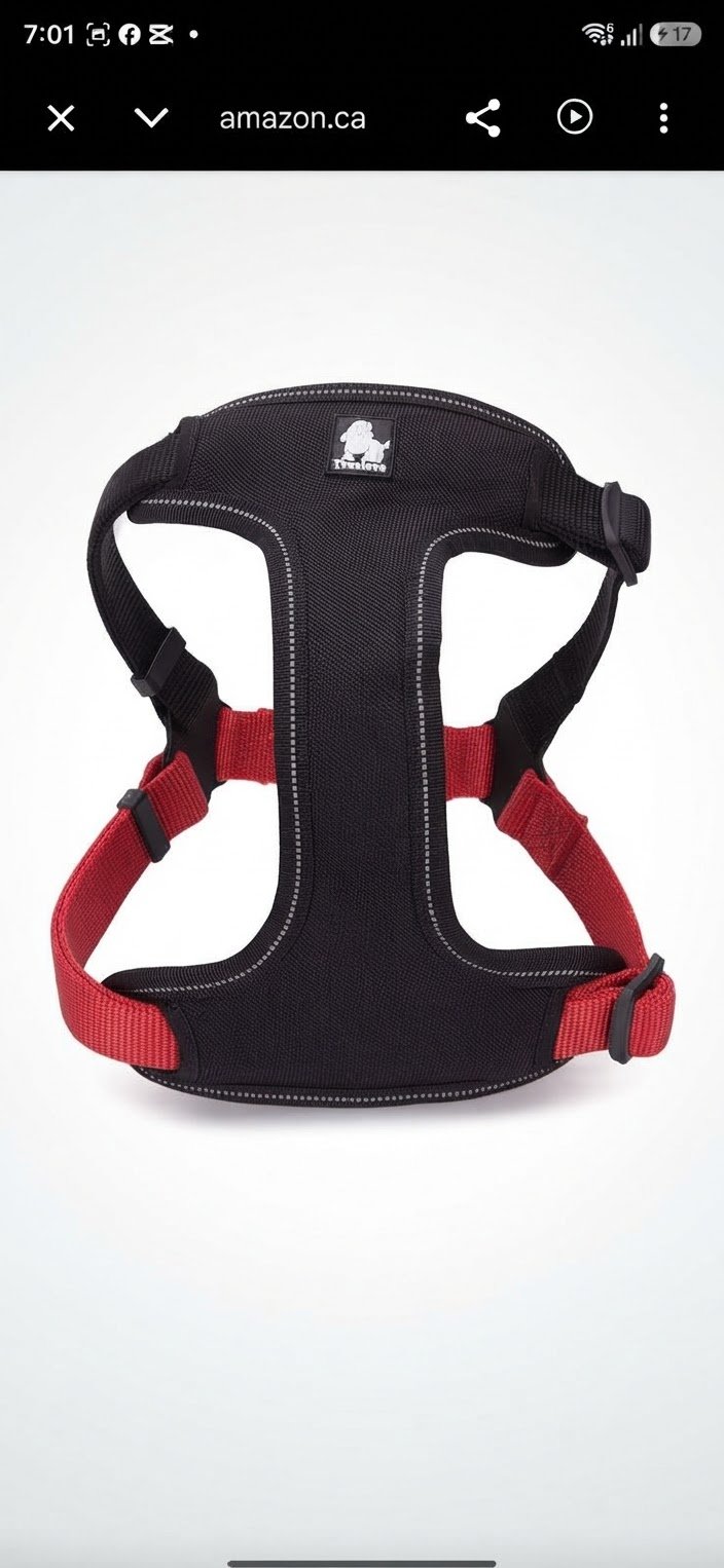 Harnais de sécurité Truelove pour chien, ajustable, taille L, couleurs (rouge et noir)