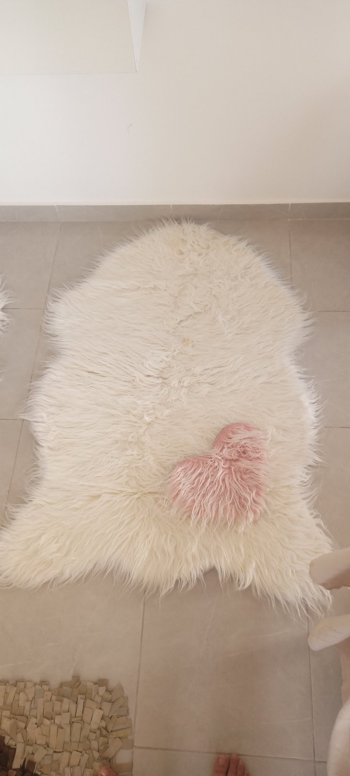 Tapis 