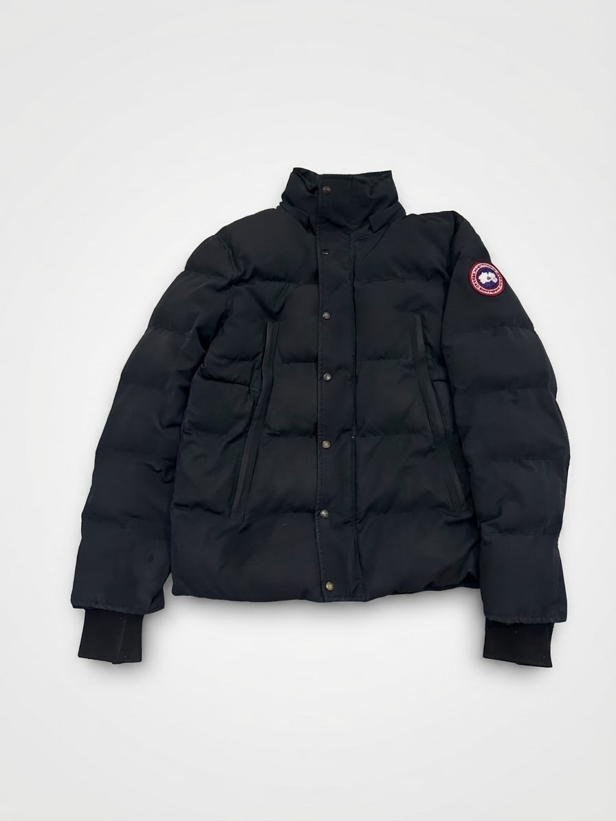 Canada goose 