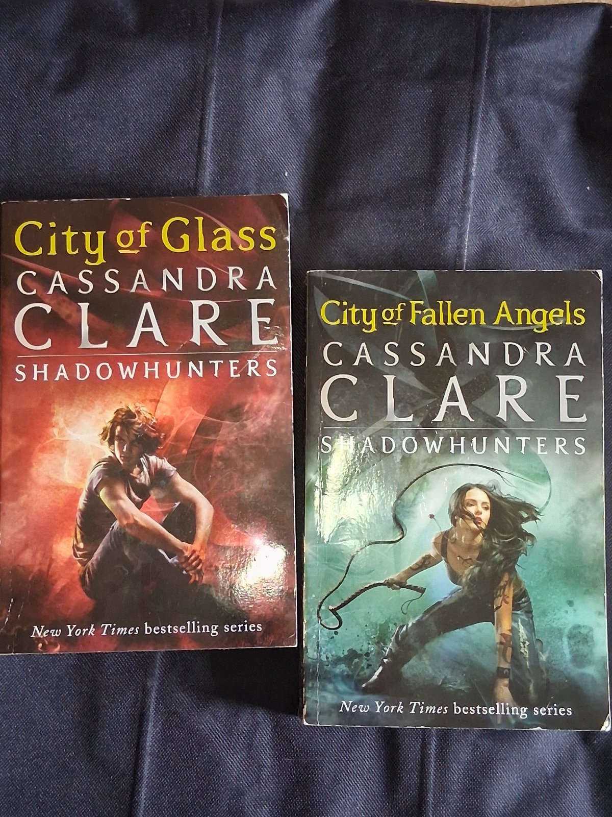 2 livres Shadowhunters
