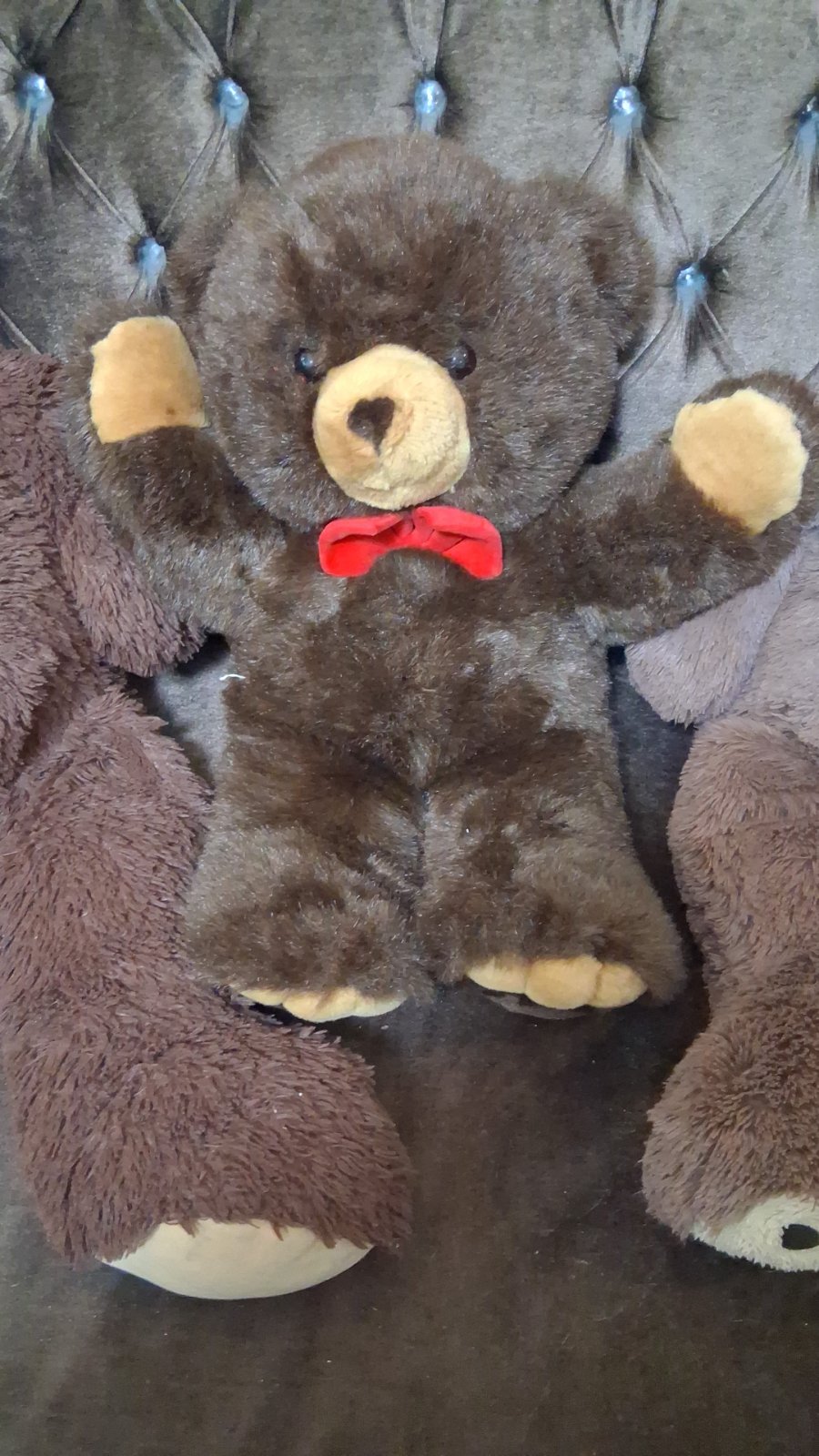 Peluche