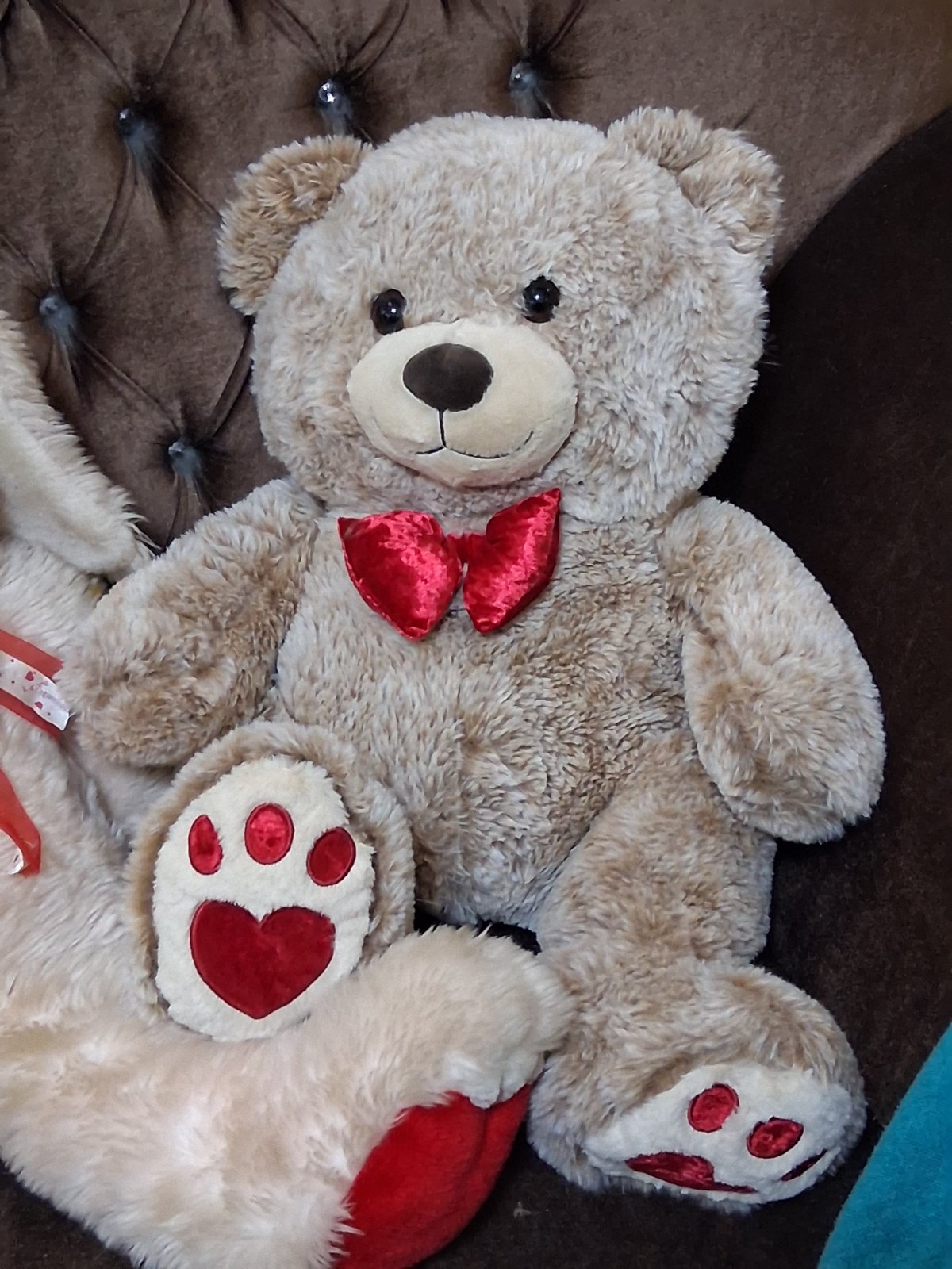 Gros Peluche 