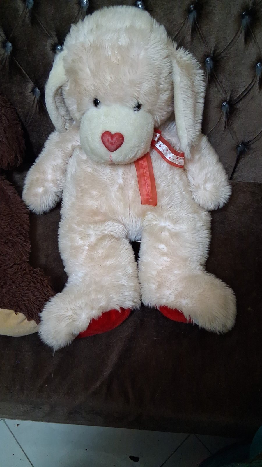 Chien Peluche