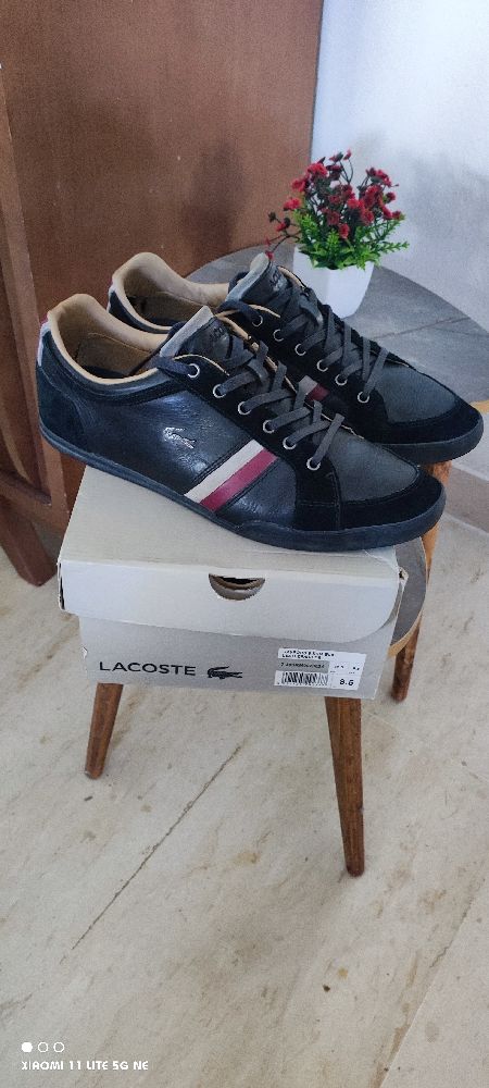 Chaussure lacoste authentique avec boîte pointure 42,5