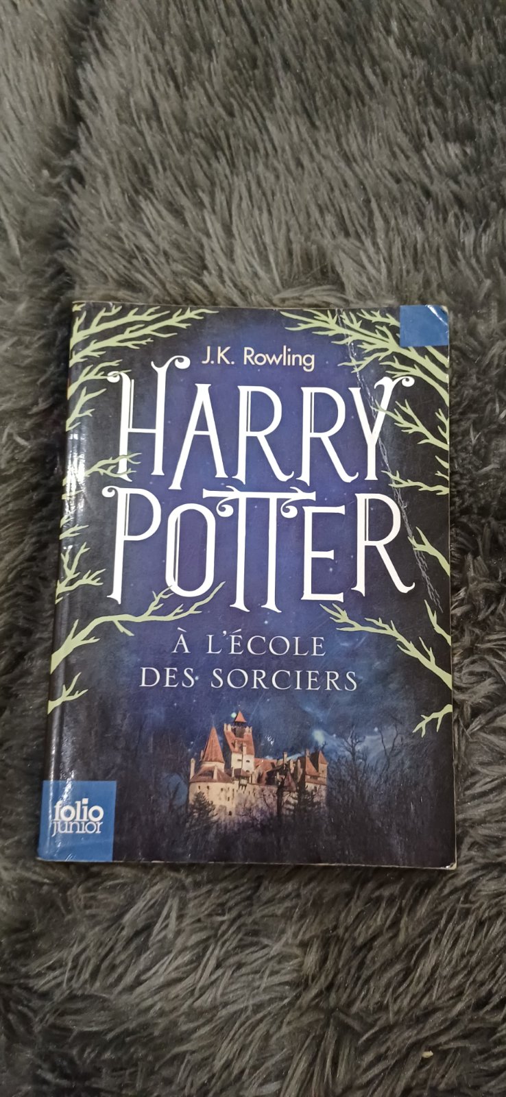 Harry potter à l'école des sorciers