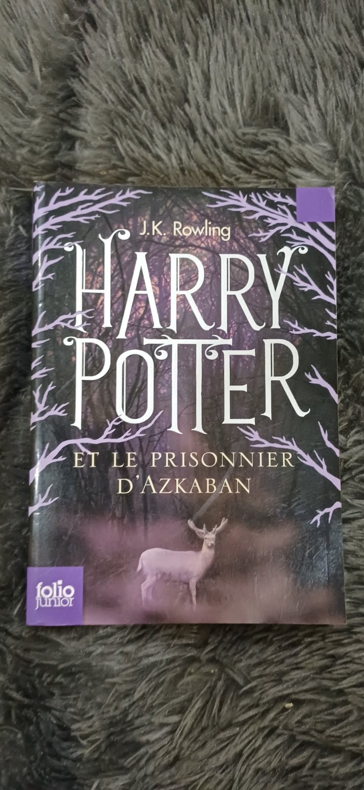 Harry potter et le prisonnier d'Azkaban