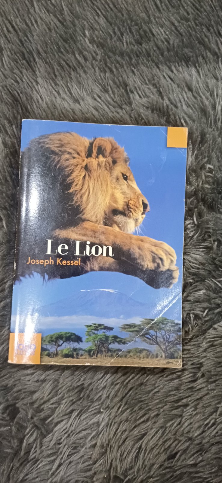 Le lion