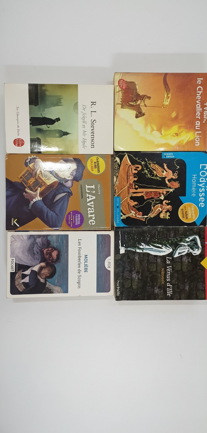 Lot 6 livres programme college