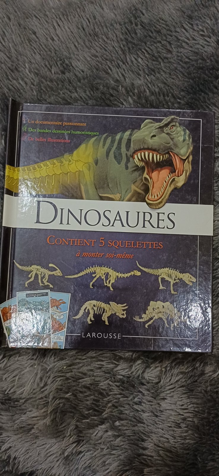 Dinosaures 