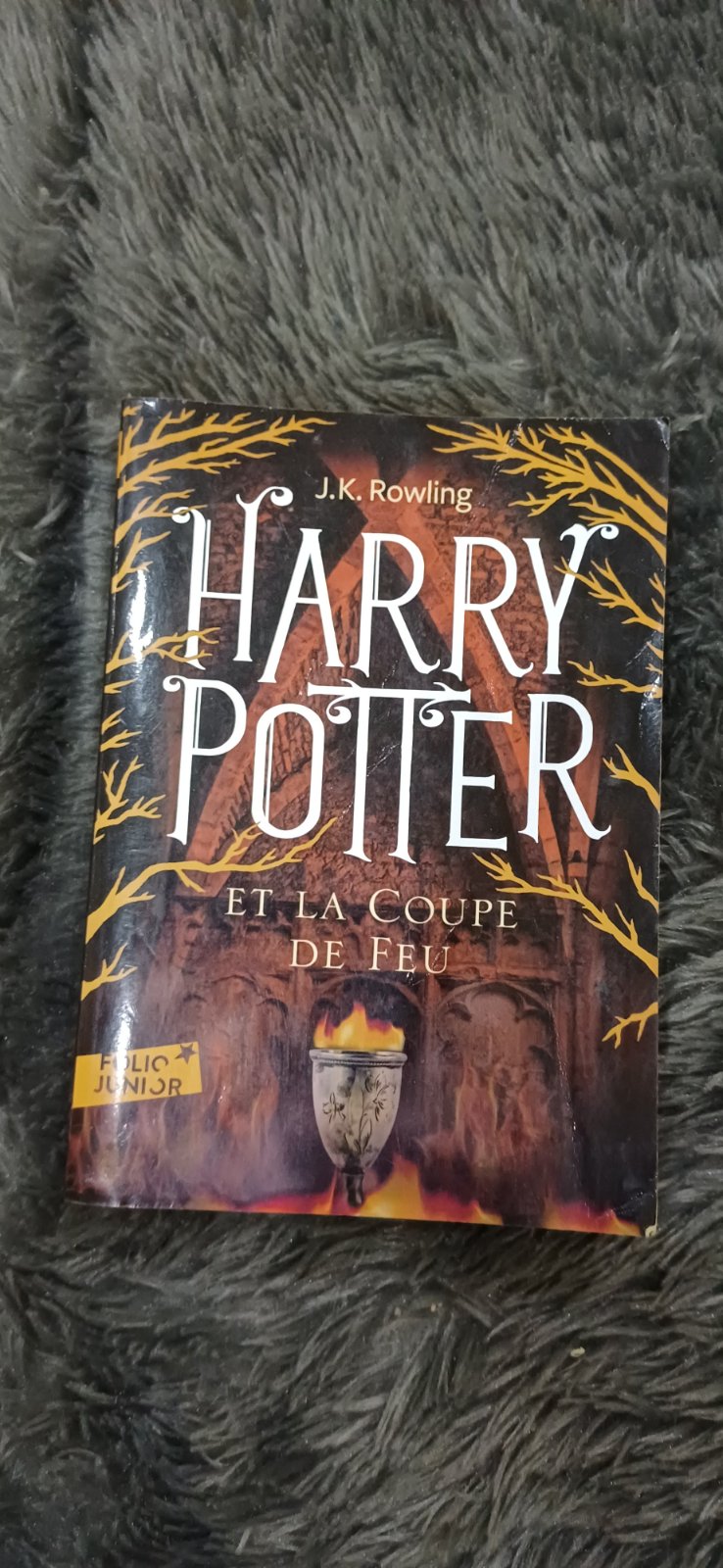 Harry potter et la coupe de feu