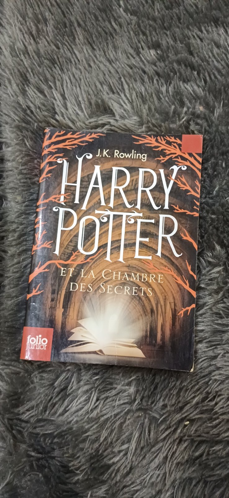 Harry potter et la chambre des secrets