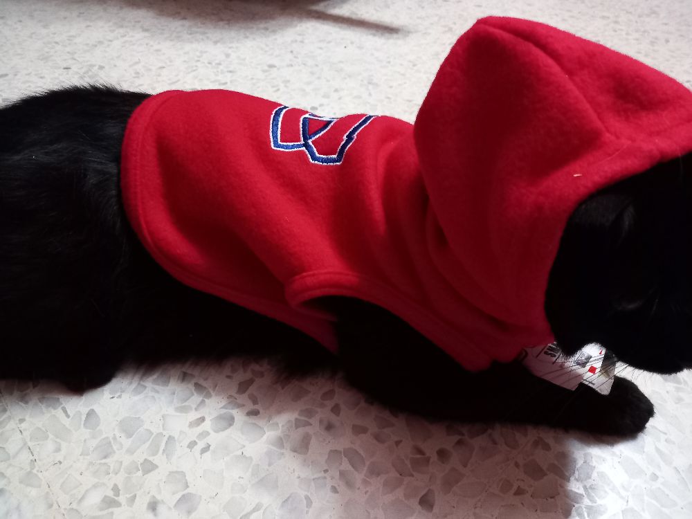 Chaperon rouge pour chien