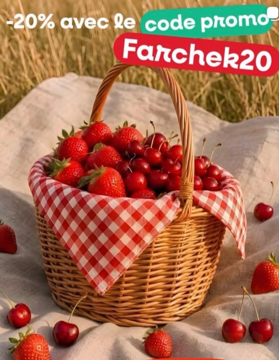 -20% avec le code promo- Farchek20