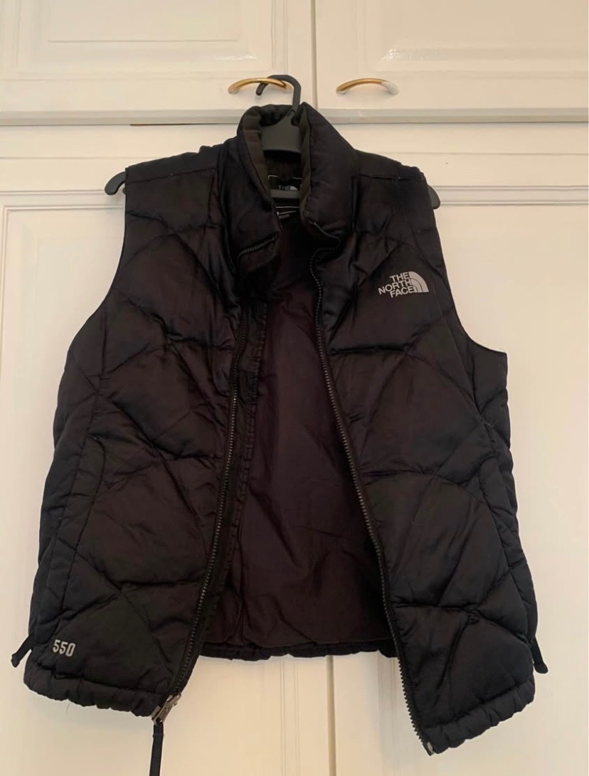 Veste the north face
