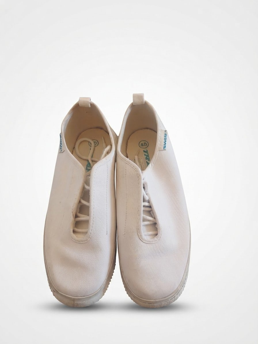 Chaussure pointure 40
