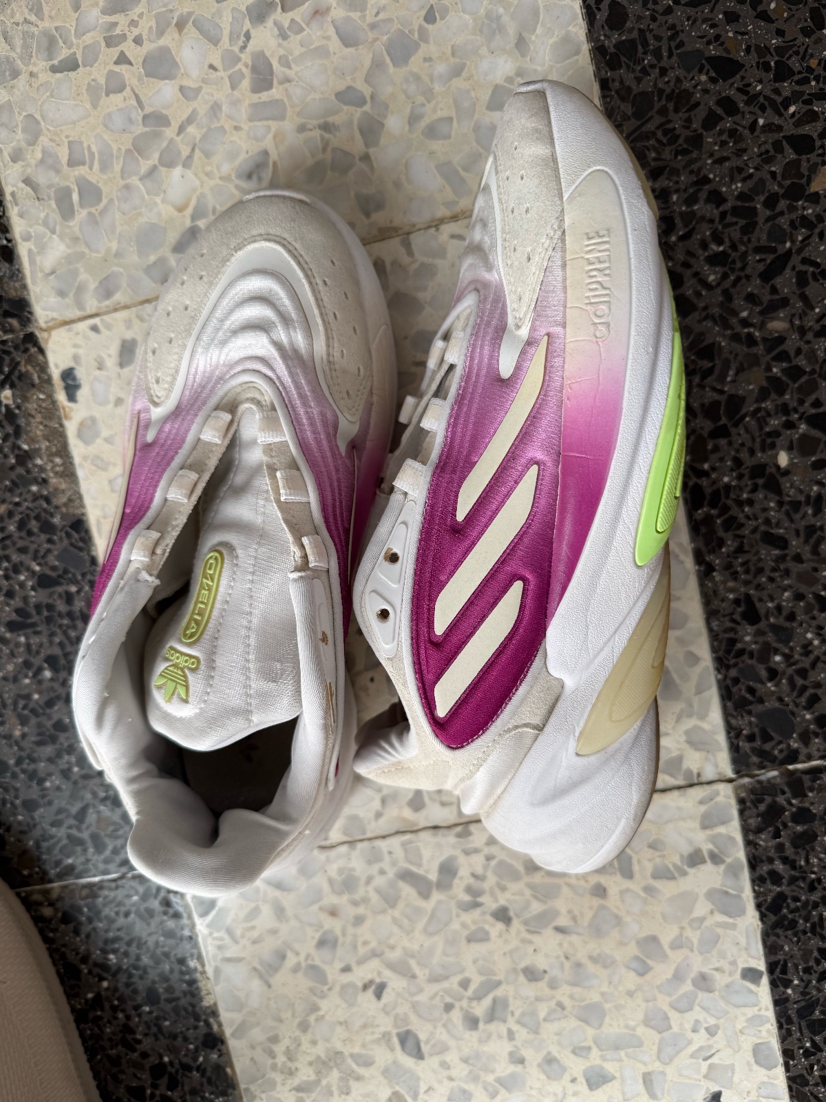 Basket adidas 
