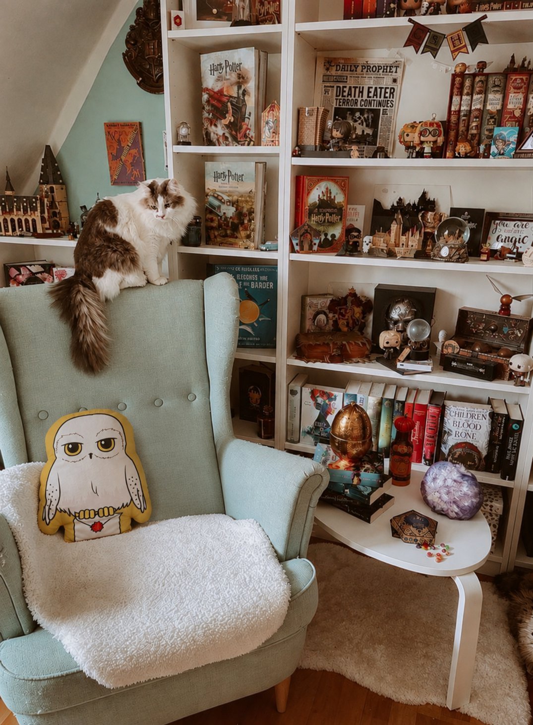 ❤️✨️🪄لأحباء هاري بوتر coussin decoratif Hedwig 🦉