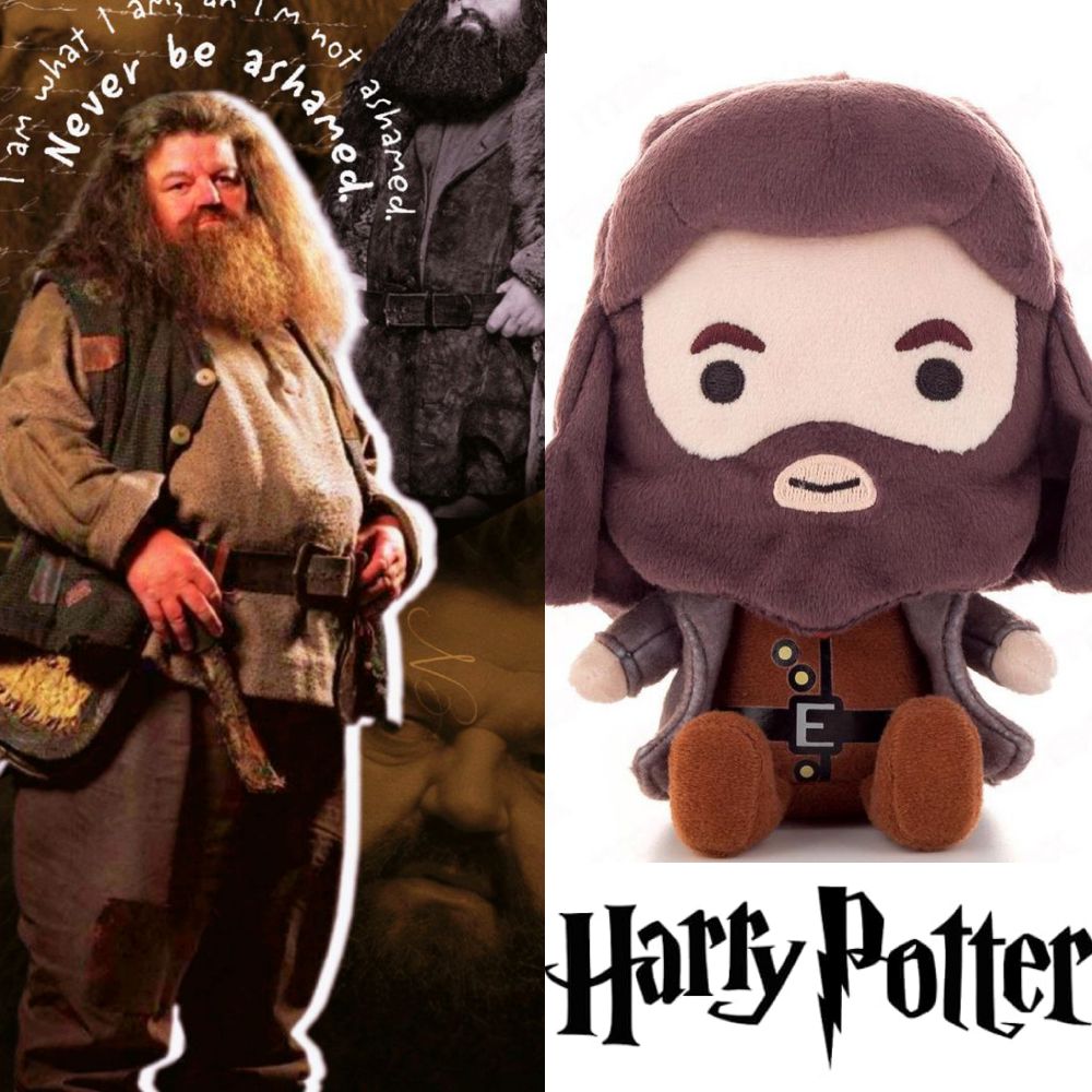 Hagrid from Harry Potter ✨️🪄⚡️