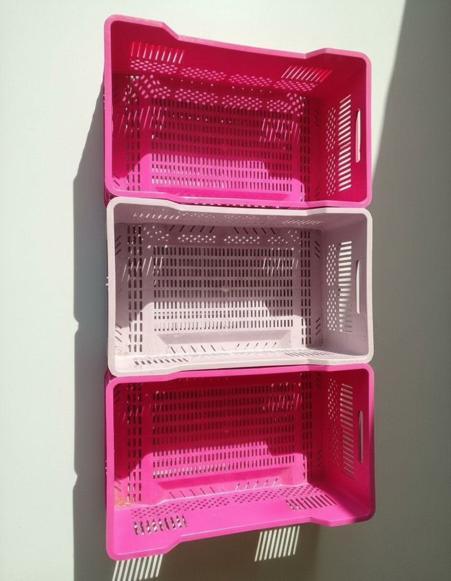 Des articles de rangements le violet vendu