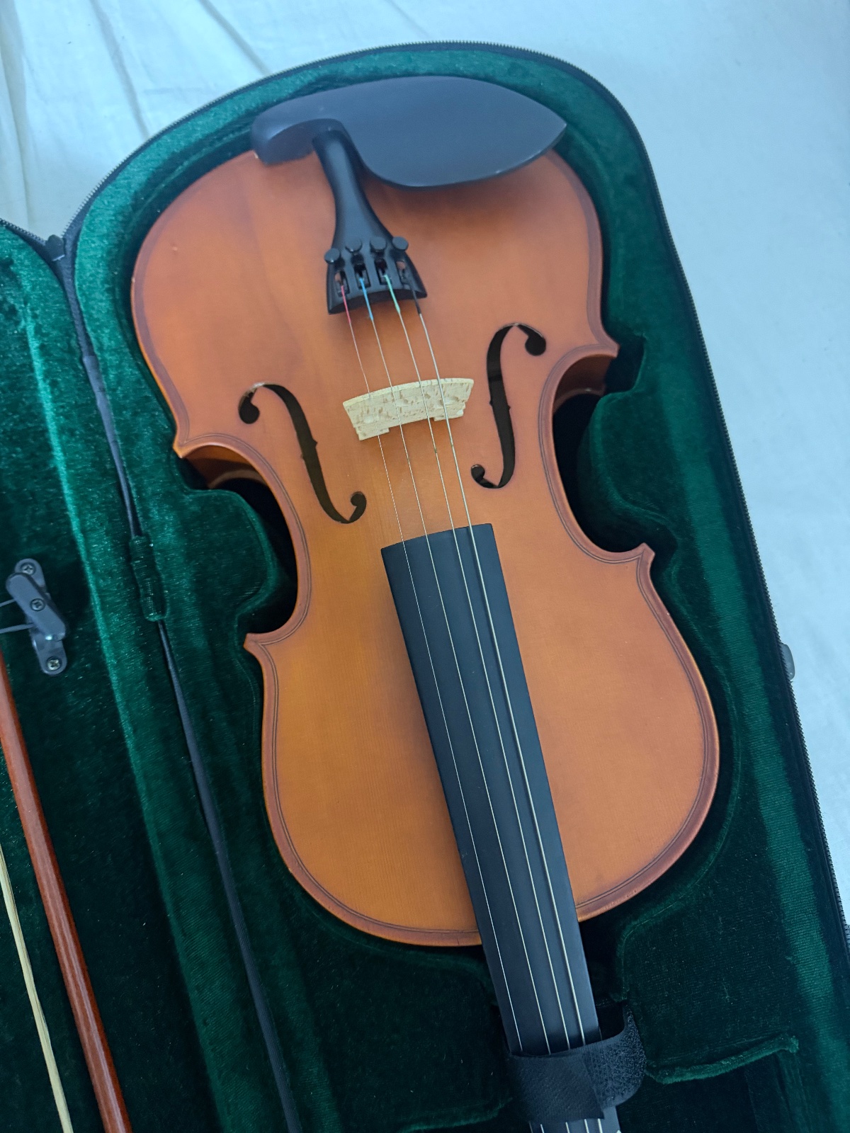 Violon