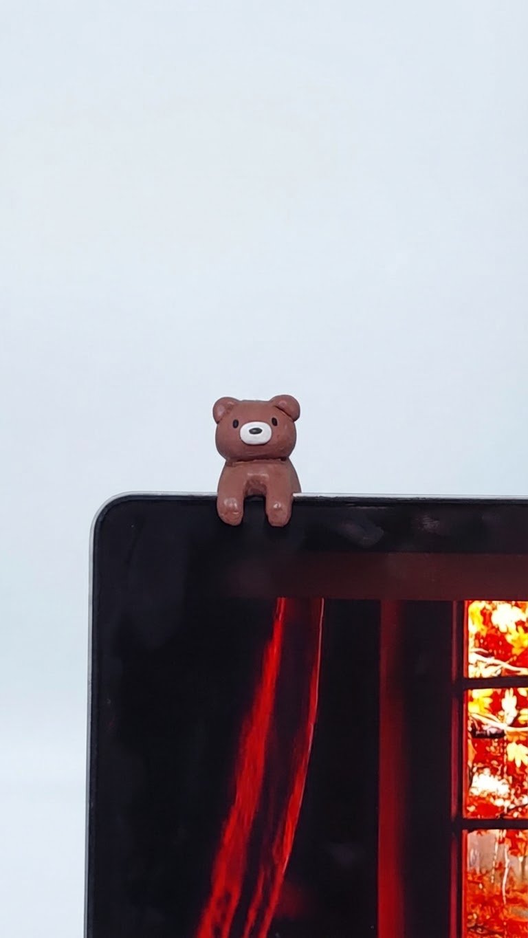 Laptop bear 🧸🤎
