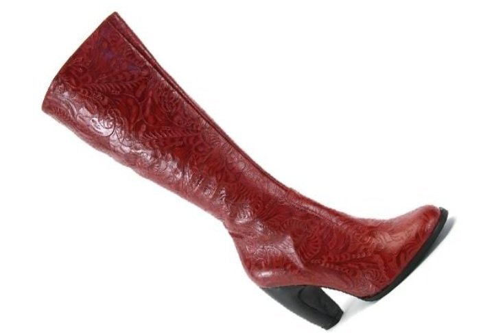 Bottes cuir laura vita