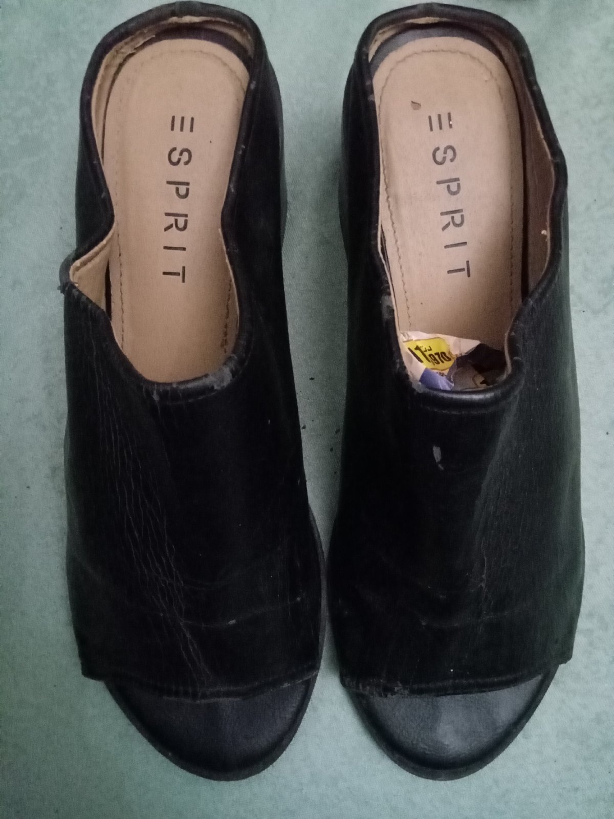 Mules esprit 