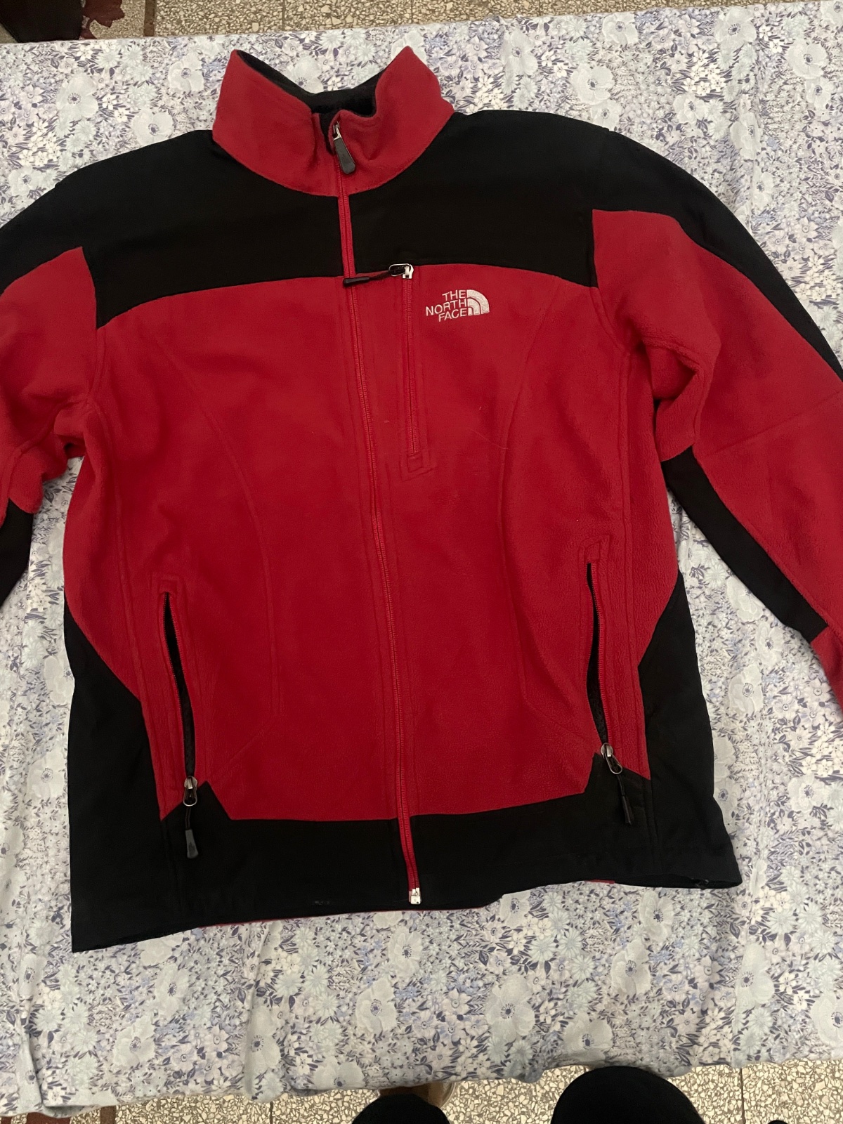 Veste the north face