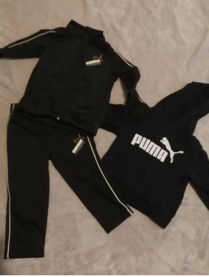 Lot puma