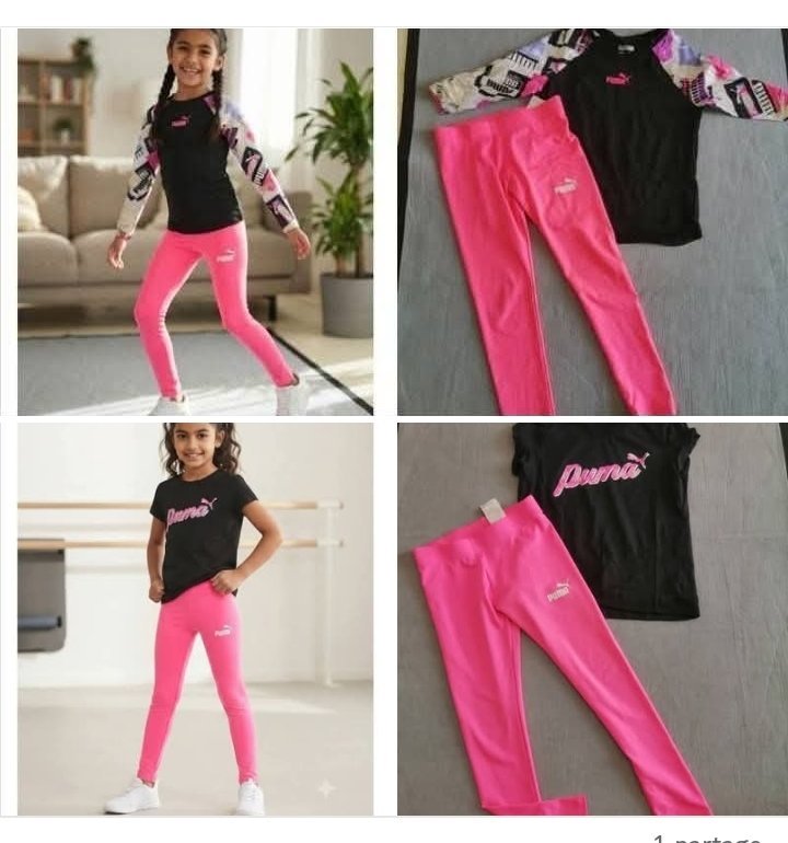 Lot puma 
