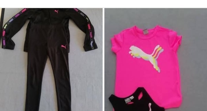 Lot puma