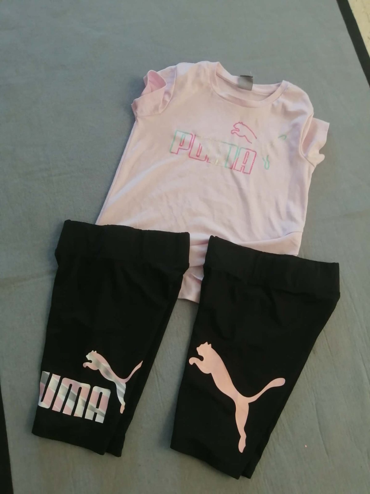 Ensemble puma