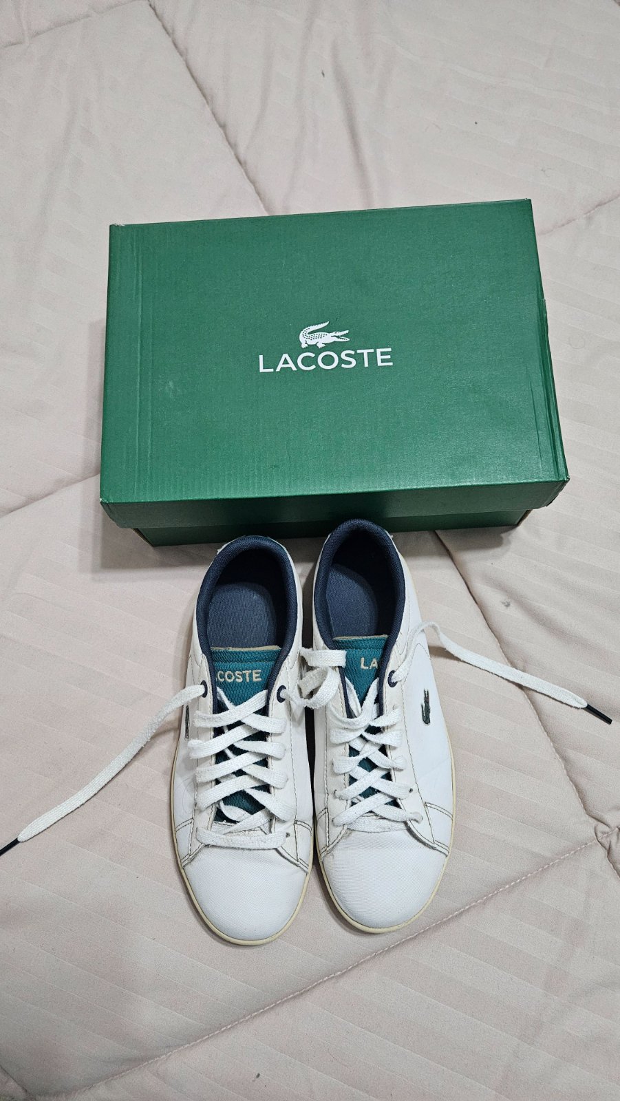 Lacoste p37