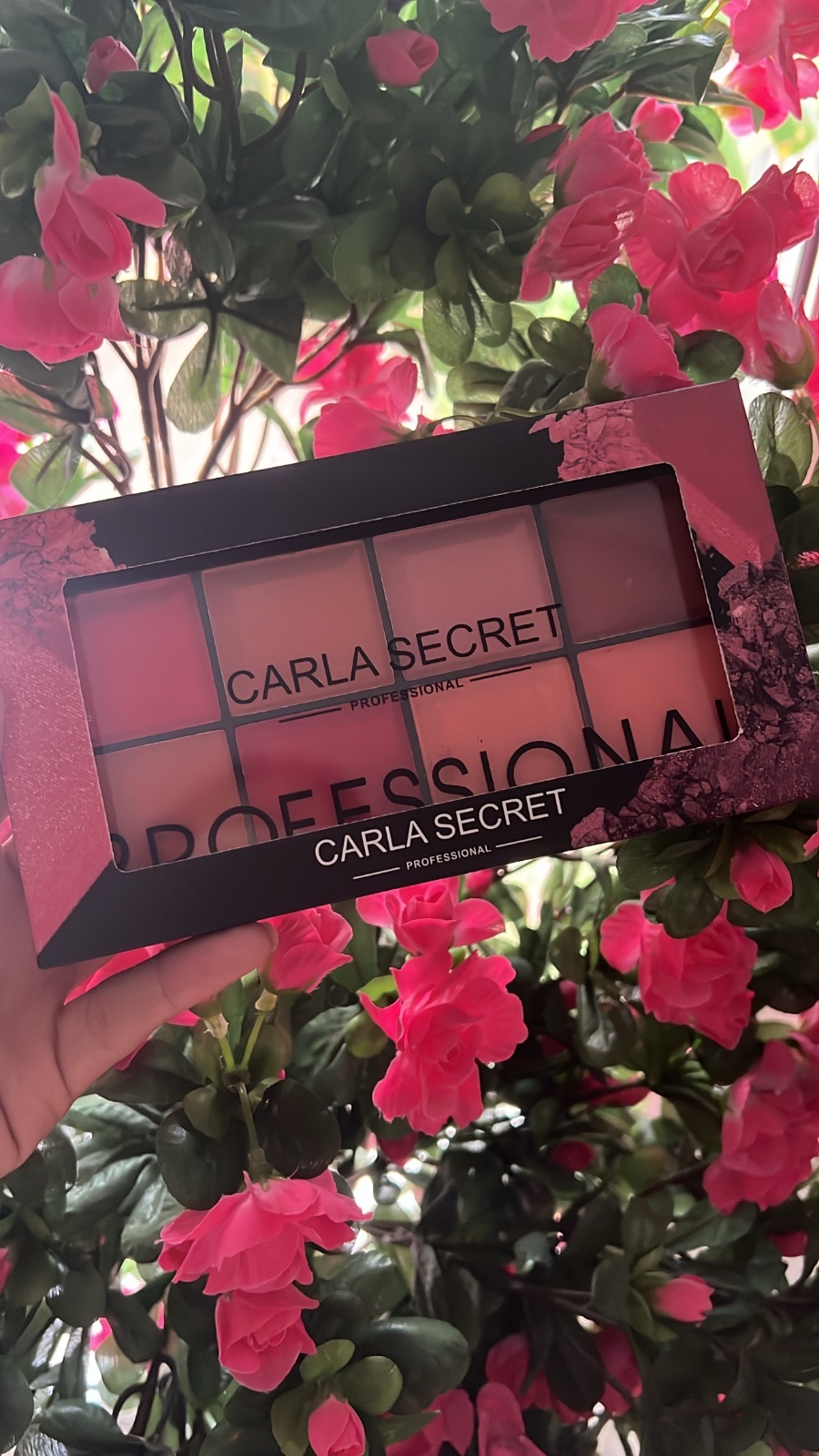 Palette 8 couleurs carla secret