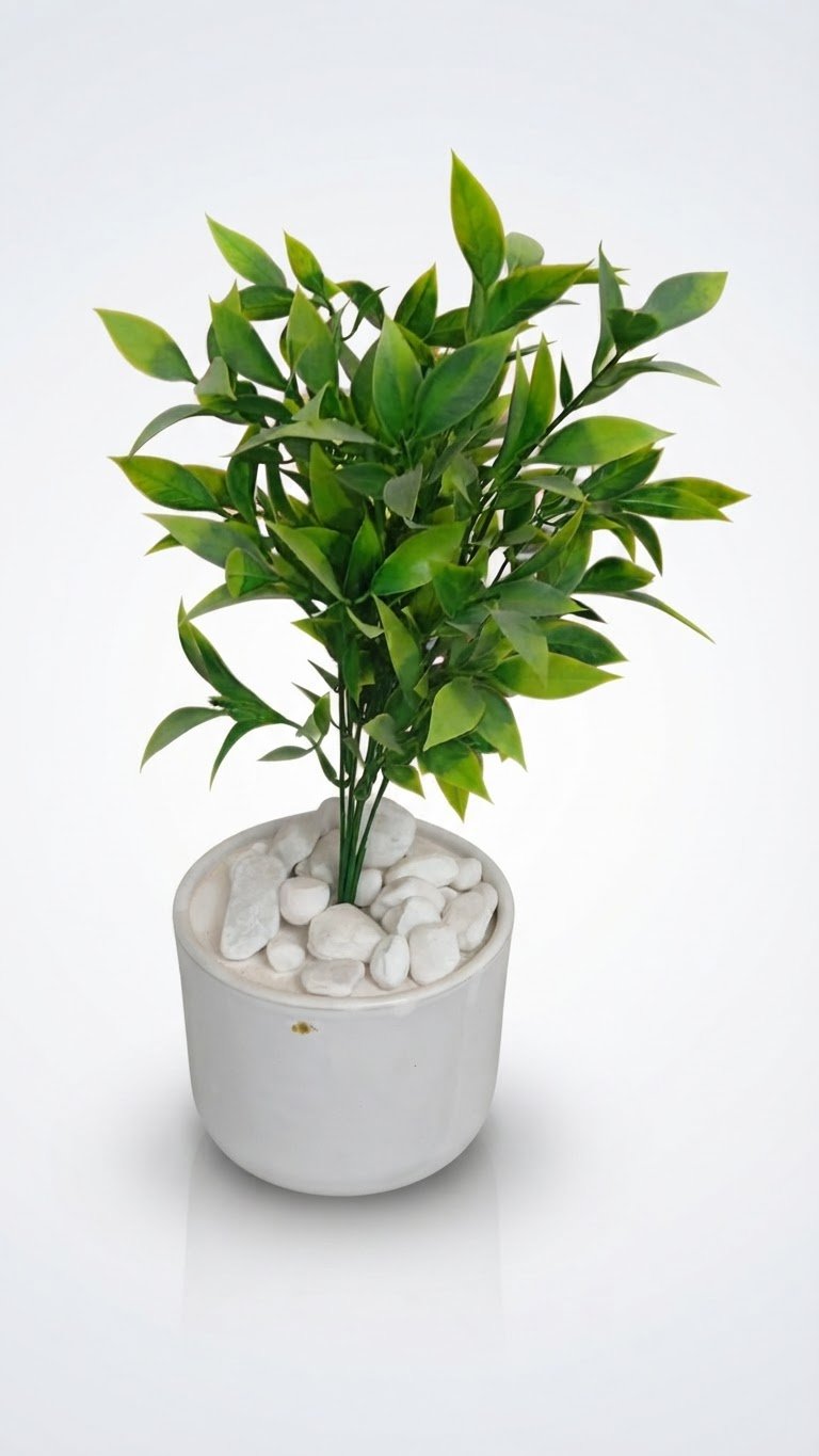 Plante décoratif 