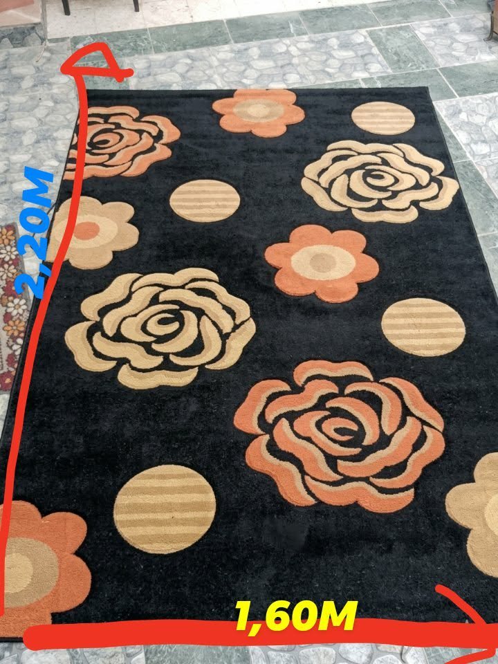 Tapis Salon 