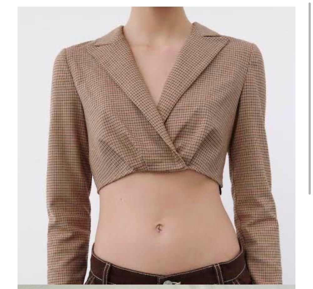 Veste zara 