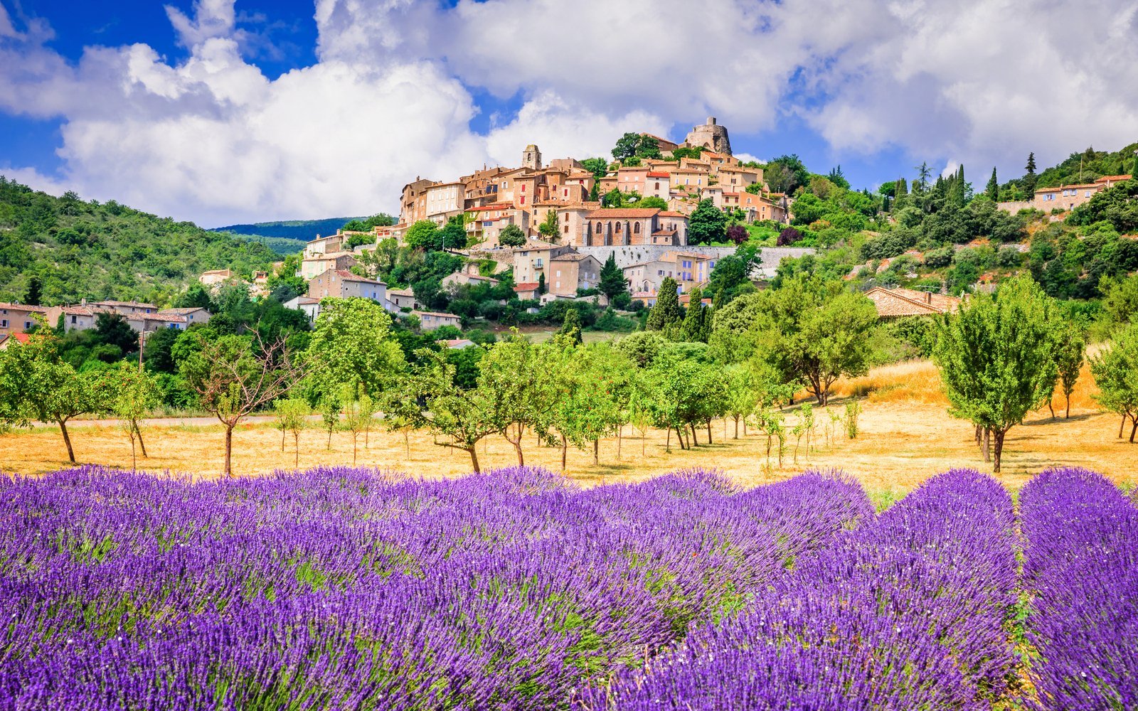 Puzzle 1000 Village de Simiane-la-Rotonde en Provence, France