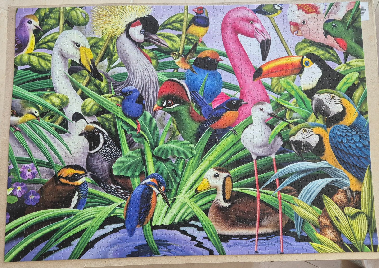 Puzzle jungle birds mille pcs