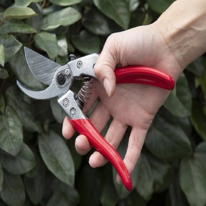 Sécateur De Jardin En Acier De Haute Qualité