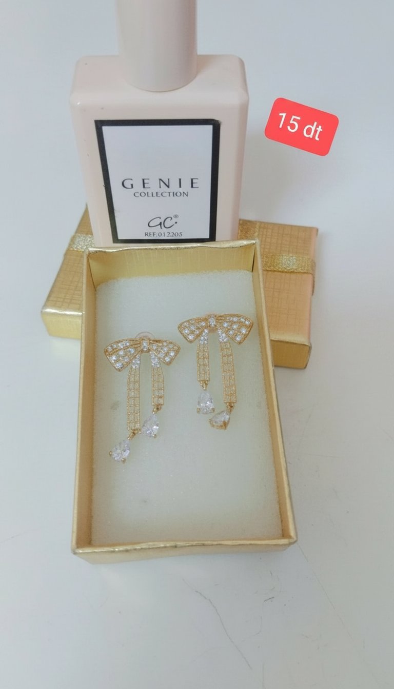 Boucle d'oreille en acier inoxydable 