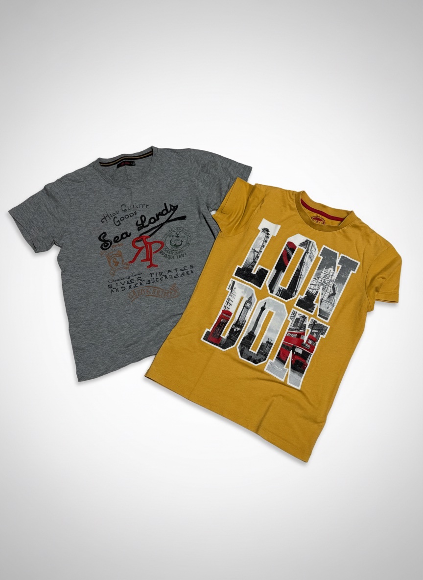 Deux t-shirt garçon 12ans 